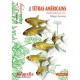 le GUIDE AQUAMAG LES TETRAS AMERICAINS VOLUME 1