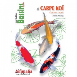 le GUIDE BASSINS DE JARDIN LA CARPE KOI