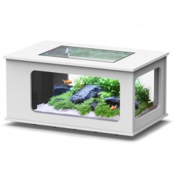 AQUATABLE AQUATLANTIS 100 X 63 X 51.5 cm