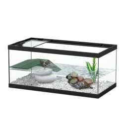 TORTUM 55 TECATLANTIS 55x30x20cm