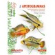 GUIDE AQUAMAG LES APISTOGRAMMAS VOLUME 2