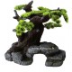 BONSAI SUR ROCHE ref 234105320