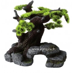 BONSAI SUR ROCHE ref 234105320