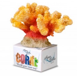 AQUA DELLA CORAL MODULE CAULIFLOWER M