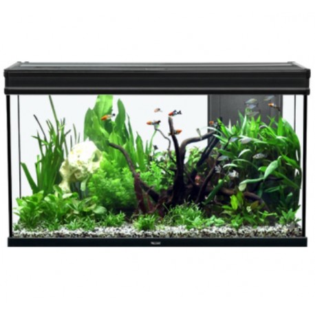 AQUARIUM ELEGANCE PLUS AQUATLANTIS 100cm - 201 litres