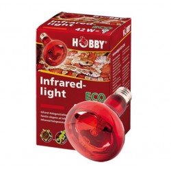 LAMPE INFRA ROUGE 42W ECO HOBBY