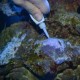 EASY GLUE UNDERWATER PREIS 20GR