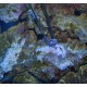 EASY GLUE UNDERWATER PREIS 20GR
