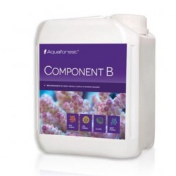 COMPONENT B AQUAFOREST 2000ML