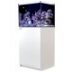 RED SEA REEFER 170