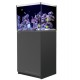 RED SEA REEFER 170