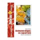 GUIDES ZEBRAS O MAG ANEMONES-DISQUES EN AQUARIUM