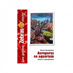 GUIDE ZBRAS O MAG ACROPORAS EN AQUARIUM