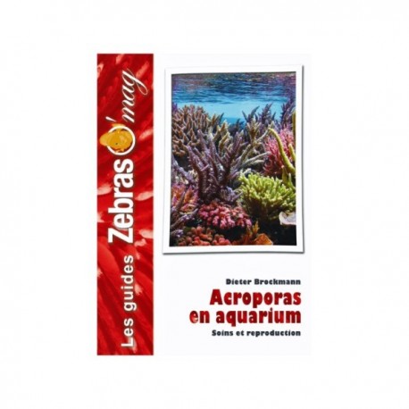 GUIDE ZBRAS O MAG ACROPORAS EN AQUARIUM