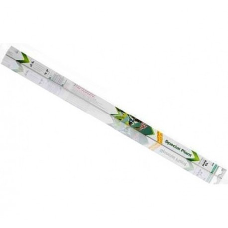 DENNERLE TUBE T5 SPECIAL PLANTE 35W - 74.2cm