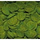 SPIRULINA WAFERS DAJANA 250ml