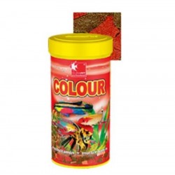 COLOUR DAJANA 100ml