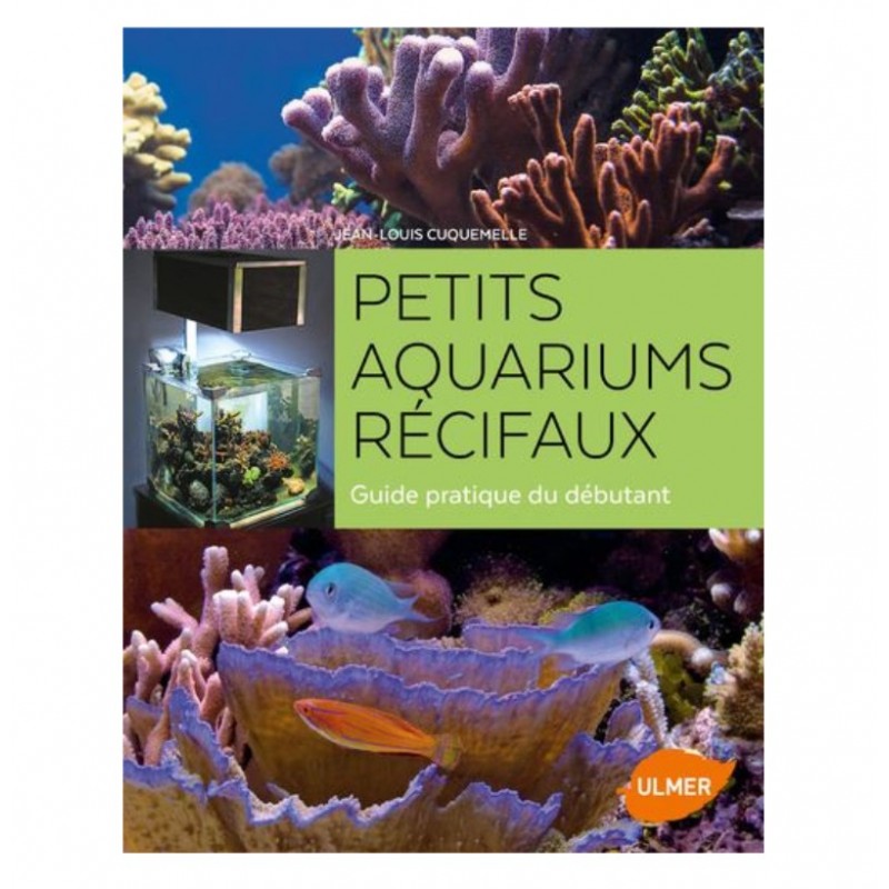 L AQUARIOPHILIE RECIFALE POUR DEBUTANTS