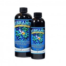 VIBRANT 16 0Z - 472ML