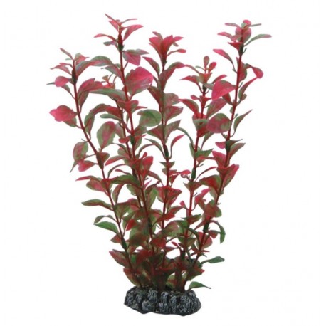 IMMITATION LUDWIGIA REF 41517 - 60cm