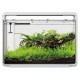 AQUARIUM SUPERFISH HOME 65 - 60 LITRES