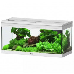 AQUARIUM PRESTIGE AQUATLANTIS 80X35X40CM - 85L