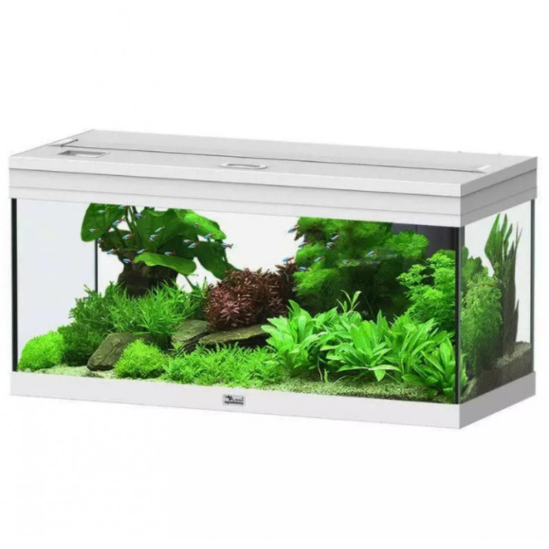 AQUARIUM PRESTIGE AQUATLANTIS 80X35X40CM - 85L