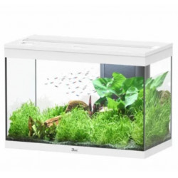 AQUARIUM SPLENDID AQUATLANTIS 80X40X55CM - 146L