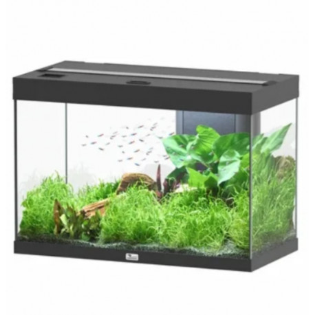 AQUARIUM SPLENDID AQUATLANTIS 80X40X55CM - 146L