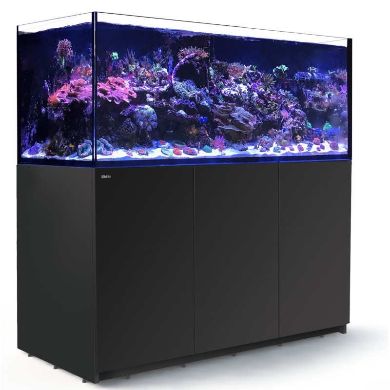 REEFER 625 XXL RED SEA