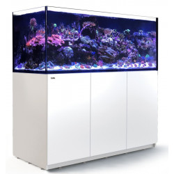 RED SEA REEFER 625 G2
