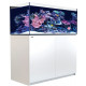 RED SEA REEFER 425 G2 NOIR