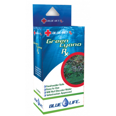 GRENN CYANO RX 4GR - BLUE LIFE - anti cyanobactéries pour eau douce