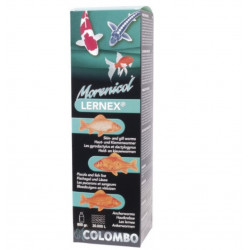 COLOMBO MORENICOL LERNEX 800gr