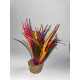 Plante Taille 1 - M1 A8 100 121