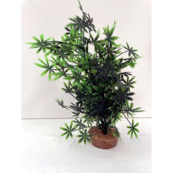 PLANTE 503 105 - 25CM