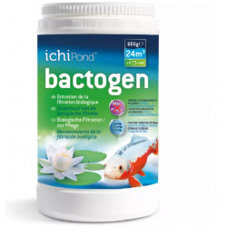 ichipond bactogen