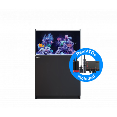 RED SEA REEFER 250 noir