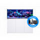 RED SEA REEFER 525 G2
