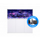 RED SEA REEFER 625 G2