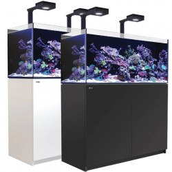 RED SEA REEFER 350 DELUXE NOIR