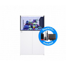 RED SEA REEFER PENINSULA 350 G2+