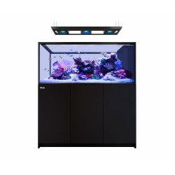 RED SEA REEFER MAX PENINSULA S-700 G2+