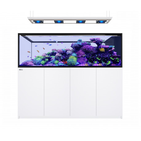 RED SEA REEFER MAX PENINSULA S-950 G2+