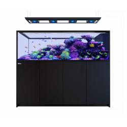 RED SEA REEFER MAX PENINSULA S-950 G2+