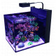 MAX NANO PENINSULA (aquarium 100L équipé, avec meuble)