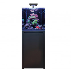 BLUE MARINE REEF 125 KIT