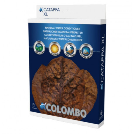 FEUILLES DE CATAPPA XL COLOMBO