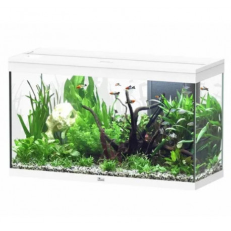 AQUARIUM SPLENDID ULTRA AQUATLANTIS 100X40X61CM - 202L
