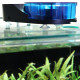 DUPLAMATIC - distributeur de nourriture Dupla pour poissons exotiques